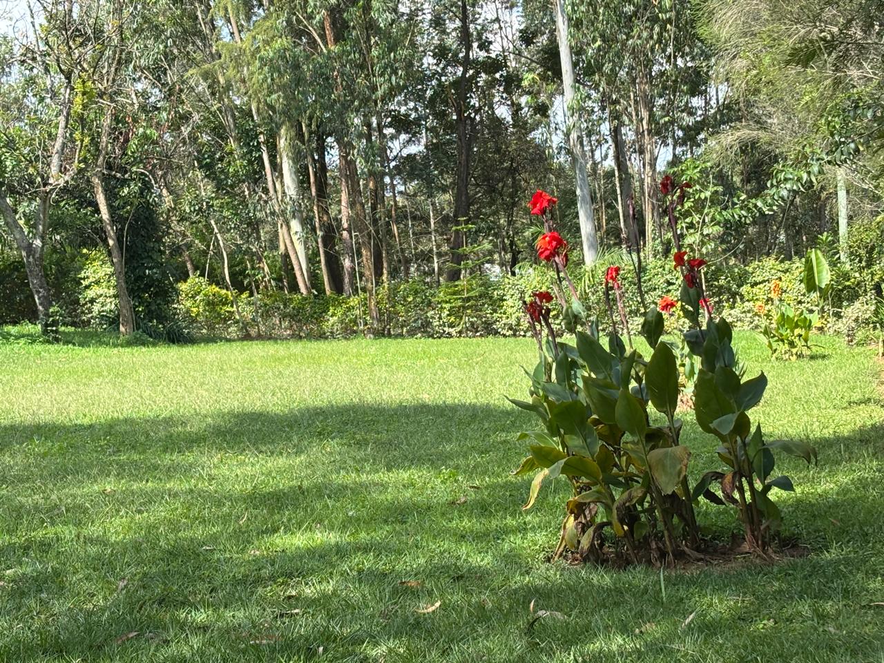 Ekony Gardens Venue