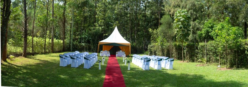Weddings
